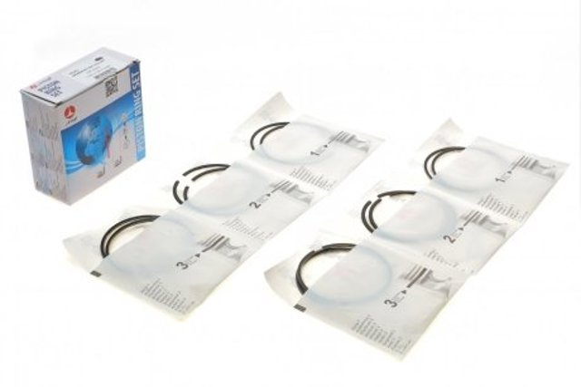 PRREN443841025SET AMP/Paradowscy 