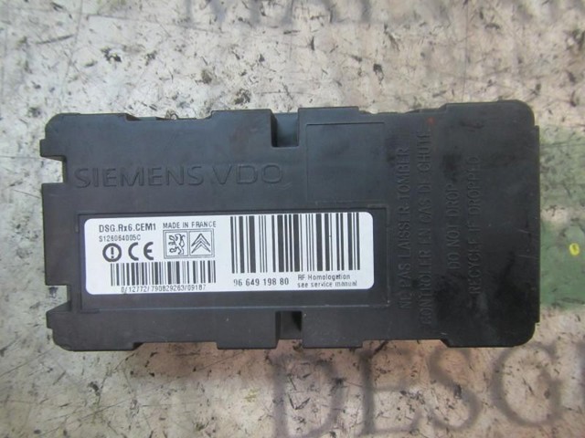 9664919880 Peugeot/Citroen 