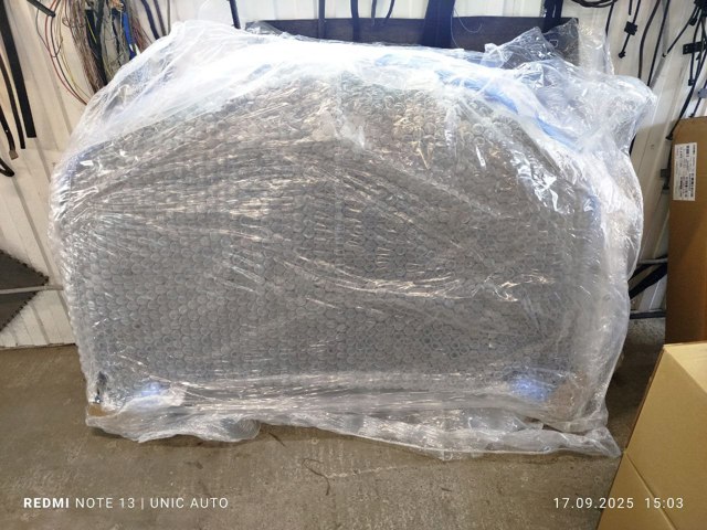 Капот 651002389R Renault (RVI)