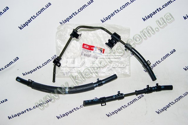 254704D700 Hyundai/Kia 