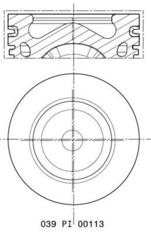  039PI00113002 Mahle Original