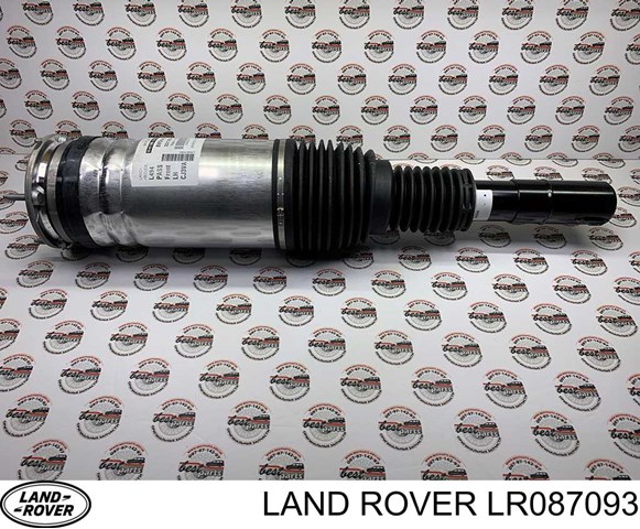 Амортизатор передньої підвіски, лівий Land Rover LR045101 ціна, від 261.11 USD