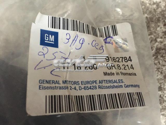 Комплект задніх бризковиків General Motors 9162784