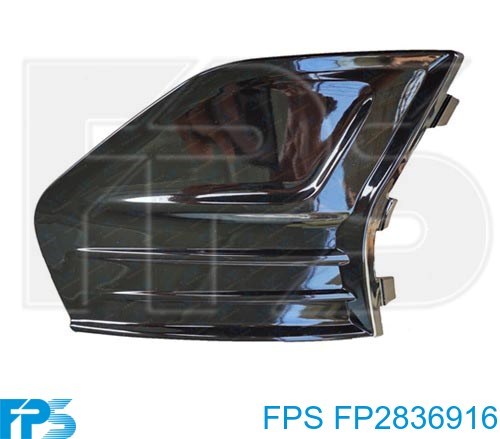 FP2836916 FPS 