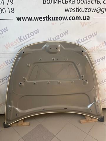 PTS20005A Signeda Капот