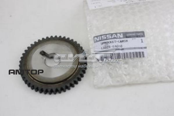  Nissan/Infiniti 13024EA000