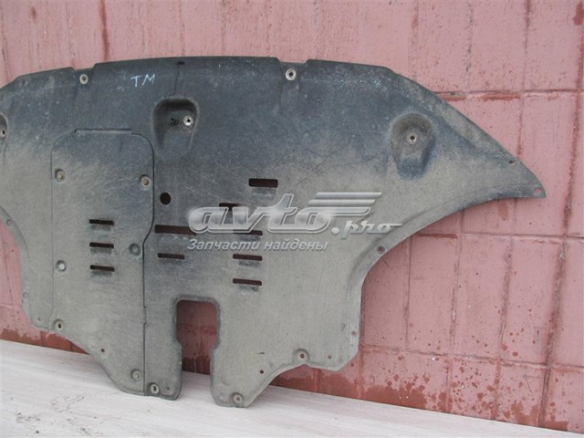 Захист картера двигуна Hyundai/Kia 29110S1000