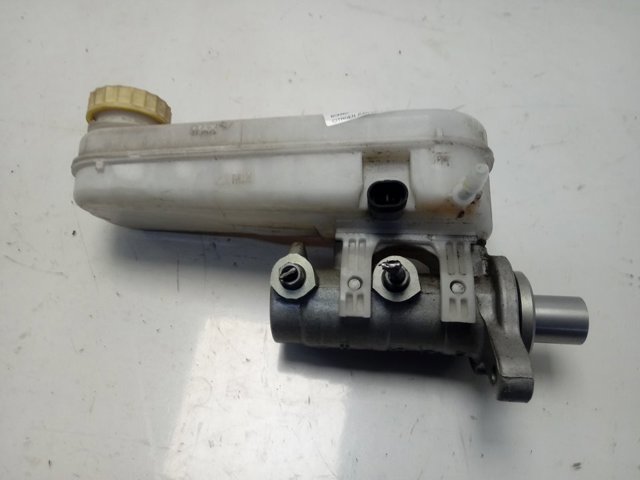  Peugeot/Citroen 0204255096