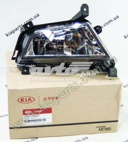 Туманка ліва Hyundai/Kia 922012J001 ціна, від 143.67 USD
