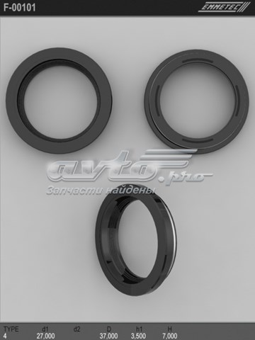  F00101 Emmetec