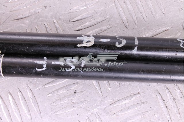 Амортизатор двері задньої Toyota 6453053012 ціна, від 44.34 USD
