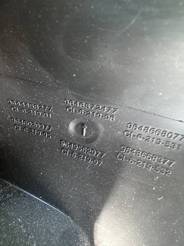 9646572477 Peugeot/Citroen 