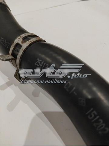 Купити 25412C1100 Hyundai/Kia 