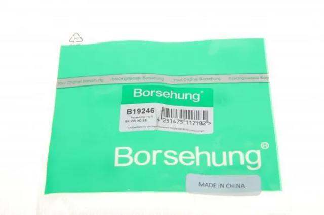 Купити B19246 Borsehung Сальник распредвала двигуна, задній