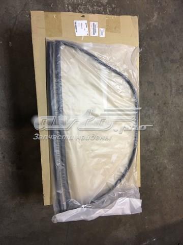  Ущільнювач лобового скла Toyota RAV4 4