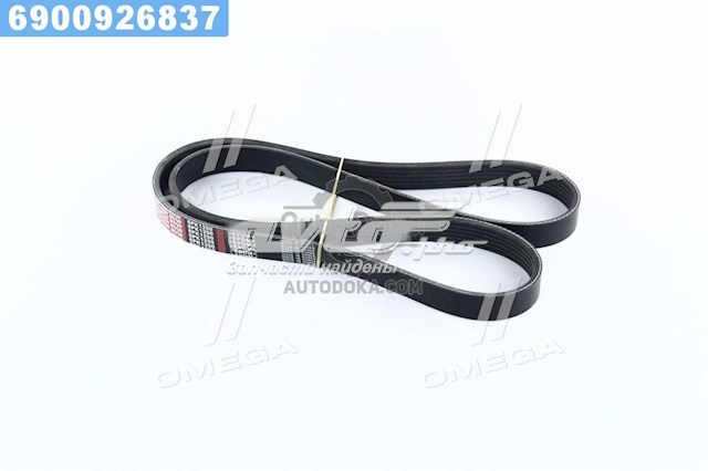 Купити 6PK1250 Dongil Ремінь генератора