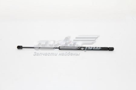 Амортизатор двері задньої Magneti Marelli GS0218 ціна, від 9.05 USD