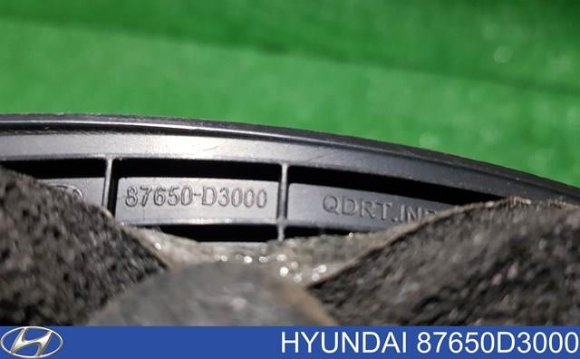Купити 87650D3000 Hyundai/Kia 