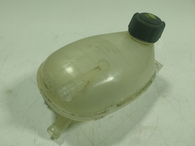 Бачок системи охолодження 217102572R Renault (RVI)