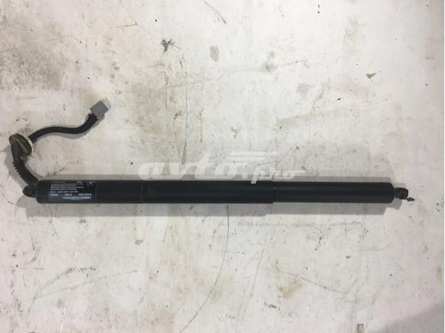 Амортизатор двері задньої Chrysler 68103064AC ціна, від 127.11 USD