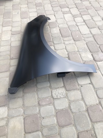 Купити 9518021 Polcar Крила