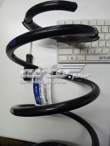 Пружина передня 546302T094 Hyundai/Kia