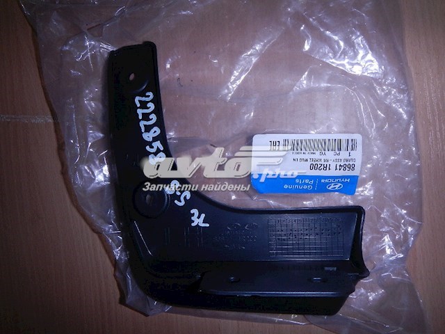 Купити 868411R200 Hyundai/Kia Бризковики задній, лівий
