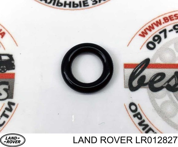 LR012827 Britpart Кільце інжектора
