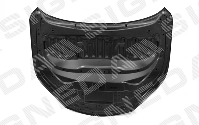 Капот Signeda PTY20165A ціна, від 456.03 USD