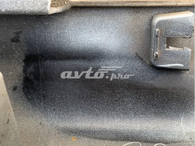 DS73F10155 Ford 