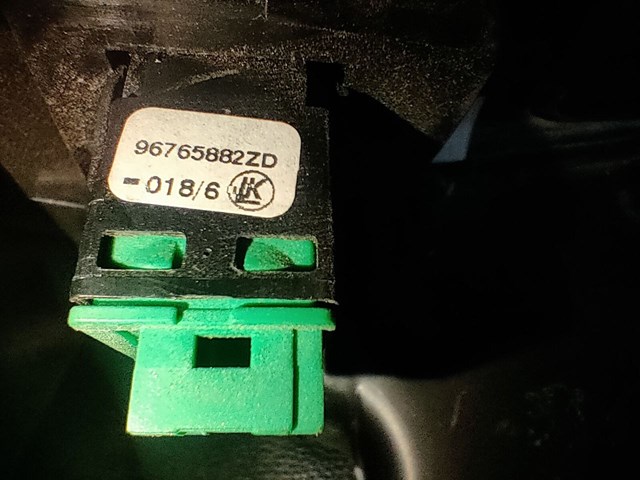  9676476977 Peugeot/Citroen