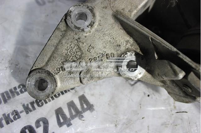 9647029580 Peugeot/Citroen 