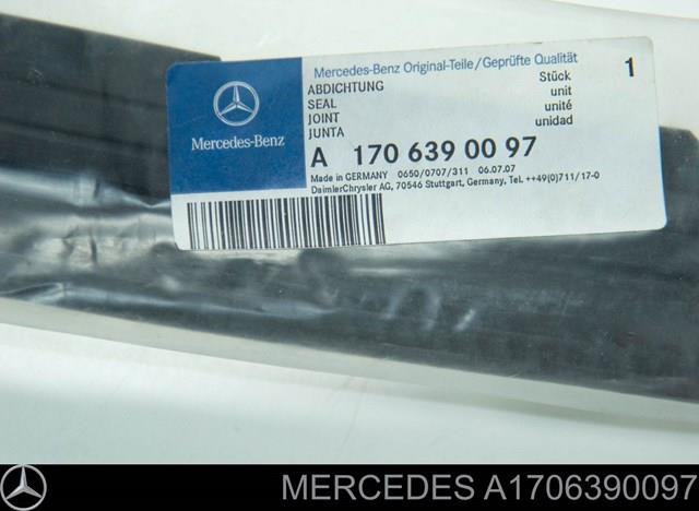  A1706390097 Mercedes