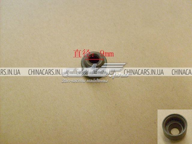 Сальник клапана (маслознімний), впуск/випуск Great Wall 1007100ED01 ціна, від 0.52 USD