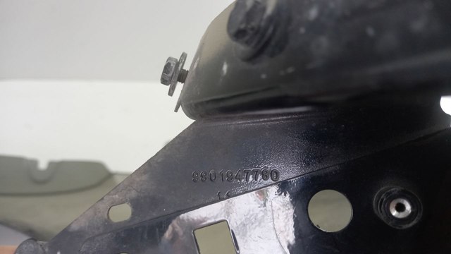 9801947780 Peugeot/Citroen 
