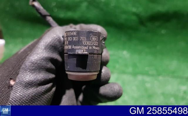25855498 General Motors 