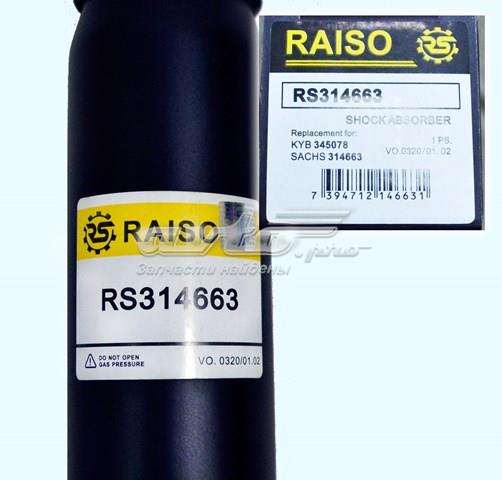 RS314663 Raiso Амортизатори задні