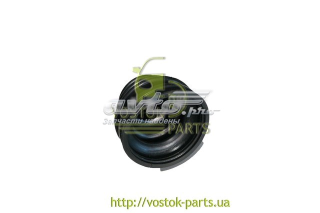 CV60451100 Chana 