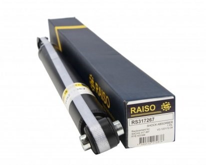 Купити RS317267 Raiso Стійка амортизатора задня