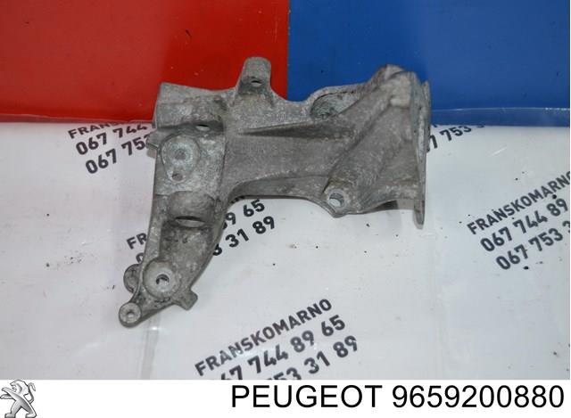  9659291180 Peugeot/Citroen