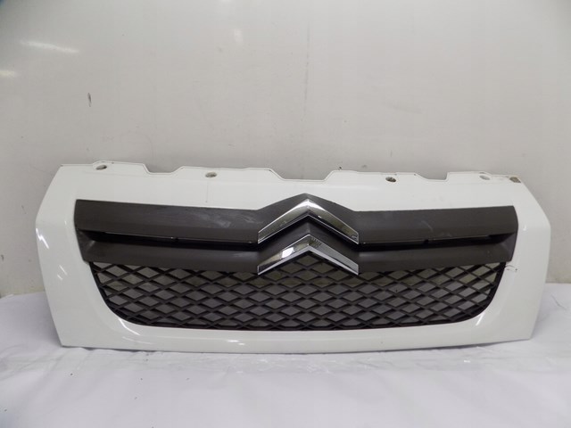Купити 1308069070 Peugeot/Citroen Захисна решітка радіатора