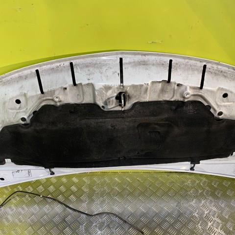 Капот Renault (RVI) 93455832 ціна, від 361.06 USD