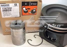 1747552 DAF Поршня на 1 циліндр, STD