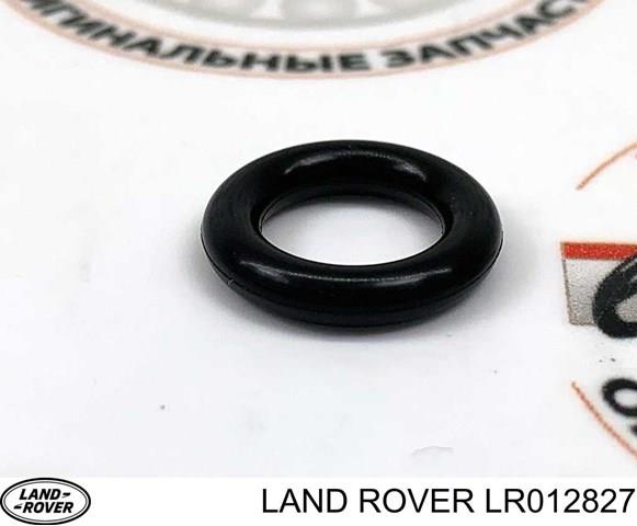 Кільце форсунки LR012827 Britpart