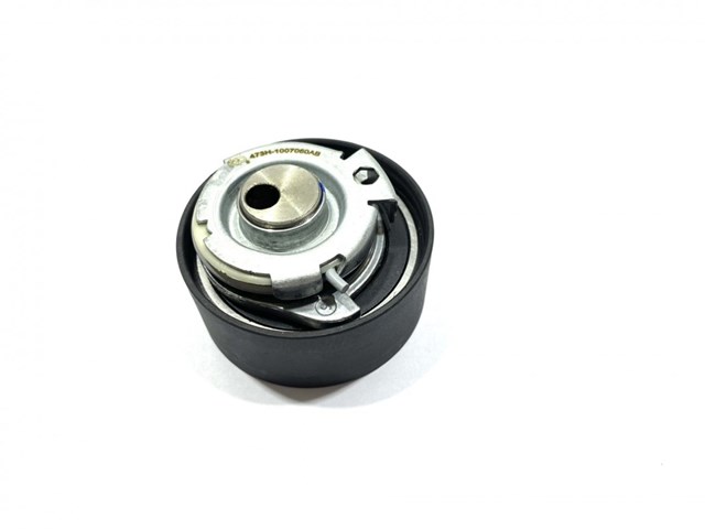 Купити 473H1007060ABEEP EEP Натяжний ролик