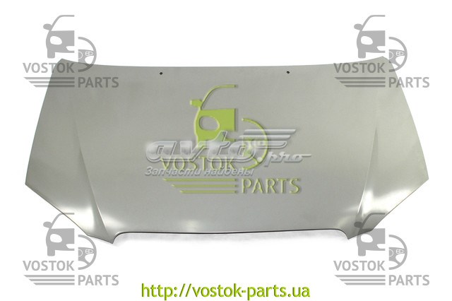 Капот BYDF38402010 BYD
