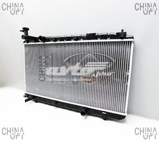 S1301000 Lifan Радіатор охолодження двигуна