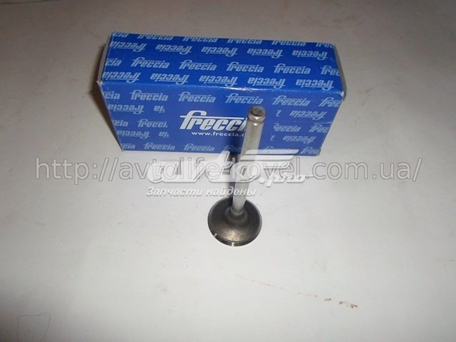 4243SCR Freccia Клапан впускний