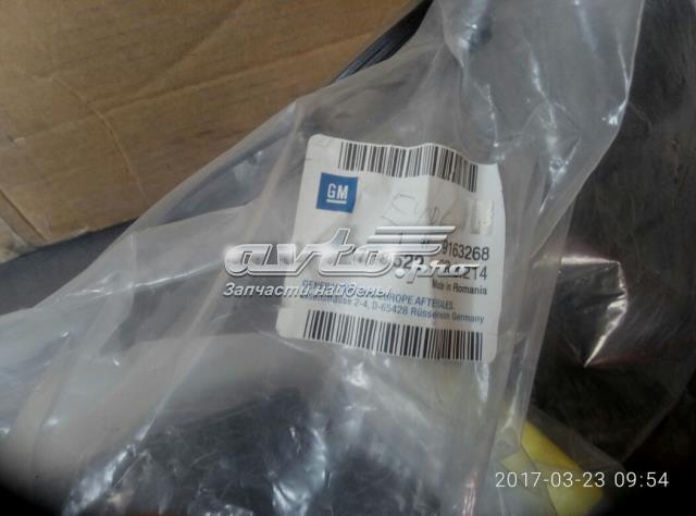 Комплект задніх бризковиків General Motors 1718529