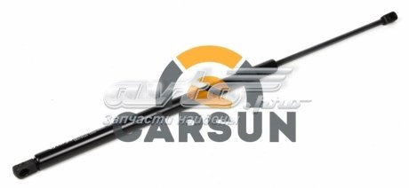 Амортизатор двері задньої DP Group 2200772 ціна, від 7.88 USD